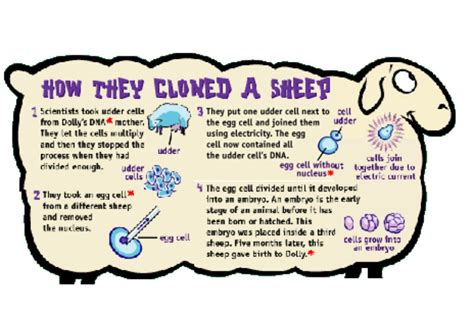 Readworks answer key 5th gradeall games. Whats The Big Idea About Genetics Readworks Answer Key ...