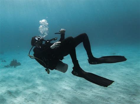Why Do Scuba Divers Dive Backwards The Answer Might Surprise You Extremepedia