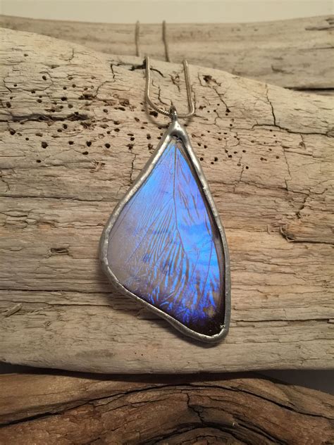 Real Butterfly Wing Necklace Insect Jewelry Butterfly Blue Etsy