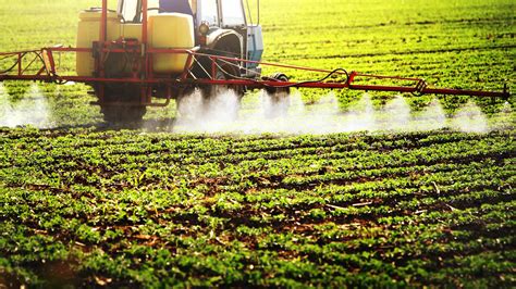 Developed Countries With 18 Of World Population Responsible For 49 Of Pesticide Hazard