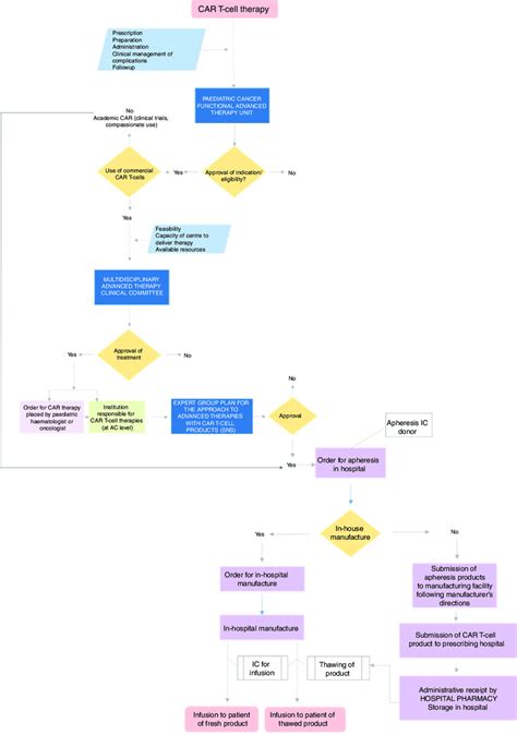 Flow Chart Of The Care Delivery Process For Car T Cell