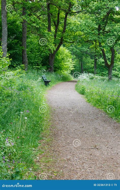Footpath In Summer Woods Stock Image Image Of Footpath 32361313