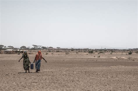 United States To Give Ethiopia 91 Million In Drought Aid For Food And