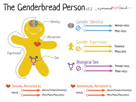 The Genderbread Person Genderinsite