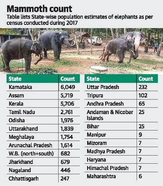 How many elephants are in India? [2022] 🐬 | Animalia-life.club