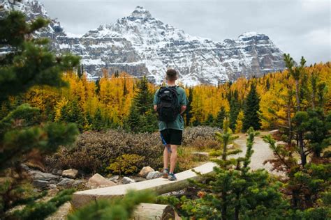 Larch March 7 Stunning Autumn Hikes In The Rockies Gripped Magazine