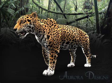 Jaguar Aurora Designs Zt2 Download Library Wiki Fandom Powered By