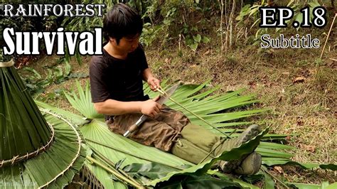 thử thách sinh tồn trong rừng mưa một mình ep 18 survival alone in the rainforest youtube