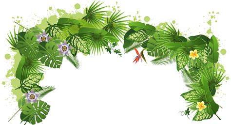 Rainforest Clipart Jungle Background Hd Rainforest Jungle Background Hd