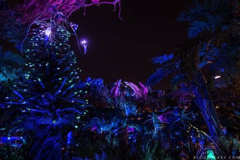 Photos Video Pandora The World Of Avatar Comes Alive At Night