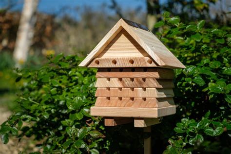 Buy Interactive Solitary Bee Hive Flip Top Online Hillier