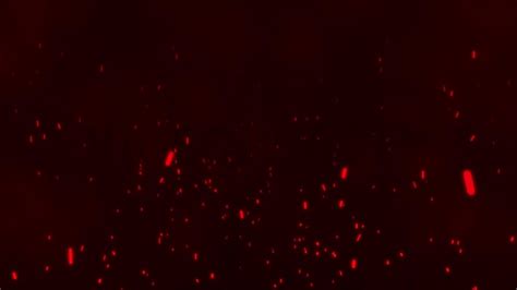 Red Particles Background 4 Royalty Free Stock Animation Videoplasty