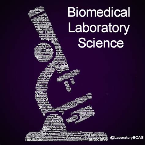 Medical Laboratory And Biomedical Science Medical Laboratory Typography