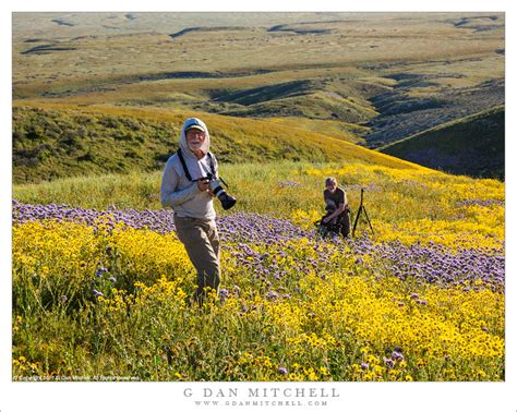 From latin american spanish temblor. Chasing Spring Color In The Temblor RangeG Dan Mitchell Photography