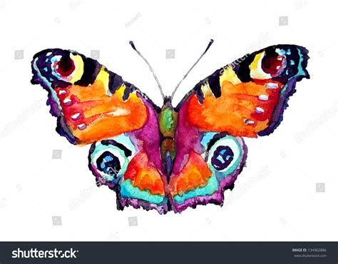 Watercolor Butterfly Stock Illustration 134962886