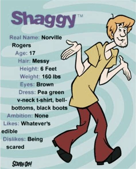 Norville Shaggy Rogers Shaggy And Scooby Scooby Doo Mystery