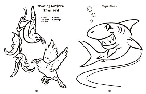 Animals in Hawaii Coloring and Activity Book – Mutual Publishing
