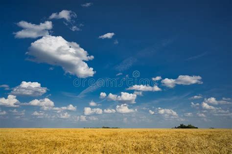 Beautiful Bright Blue Sky With Clouds Over Rural Prairies In Manitoba