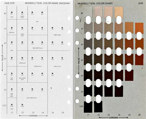 Soil System Sciences Soil Color Never Lies