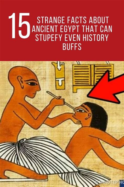 ancient egypt wtf fun facts fun facts wtf fun facts weird facts kulturaupice