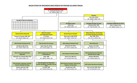 Struktur Organisasi Dinas Kesehatan Provinsi Sulawesi Tengah Dinkes