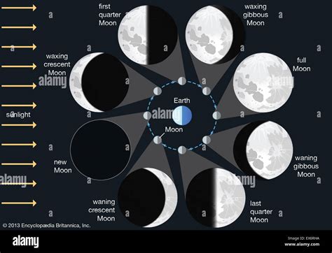 Diagrammes Des Phases De Lune Lune Phases De Lune Banque De