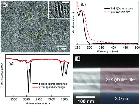 Robert malenfant brad johnson, megan gallagher, roxana zal, leslie hardy, ken kercheval. (a) TEM image of the ZnS QDs, the inset shows the HRTEM of ...