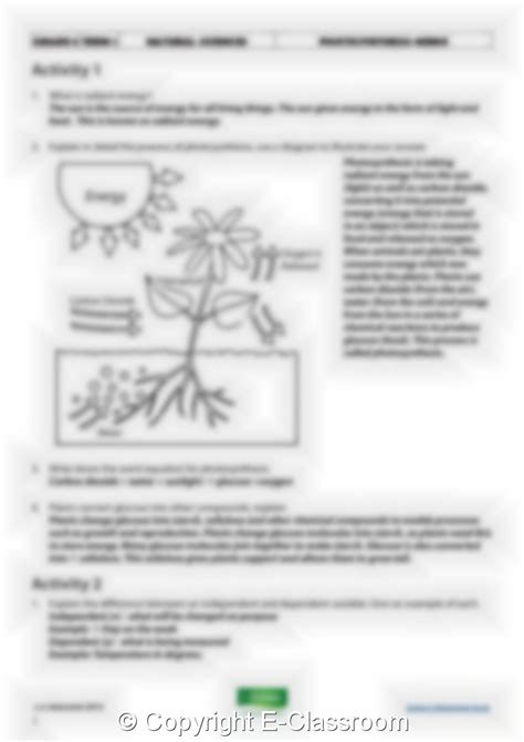 Grade 8 Natural Sciences Term 1 Photosynthesis And Respiration