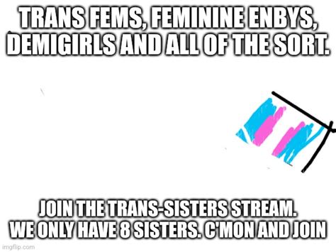Trans Sisters Imgflip