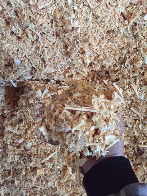 Plastic Bags Pine Wood Shavings For Horse Bedding Buy Horse Wood