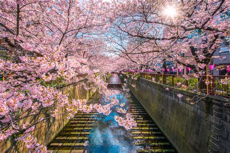 Most Beautiful Places In Japan To Include In Your Itinerary Chapter Travel