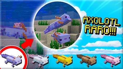 Minecraft 117 O Novo Axolotl Super Raro 01 De Chance Youtube