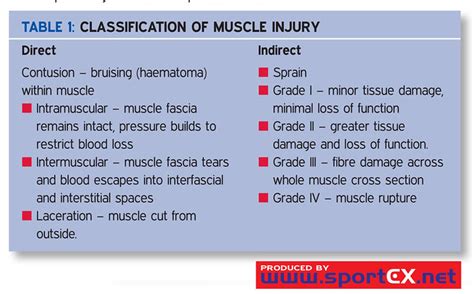 Classification Of Muscle Injury Flickr Photo Sharing