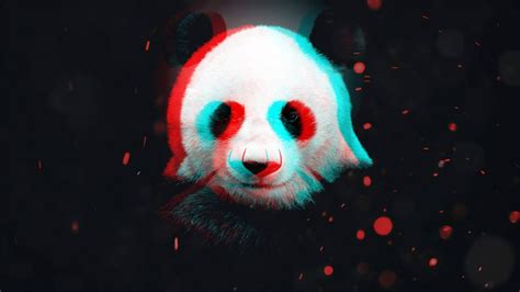 Baggrunde Panda Mørke Specielle Effekter 1920x1080