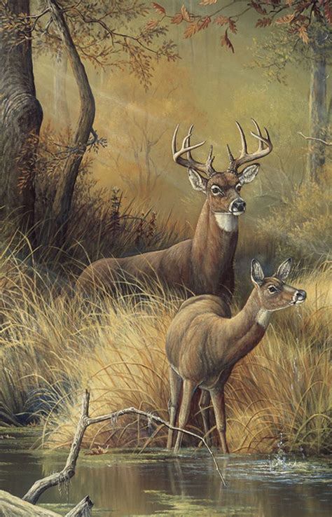 Deerpainting Deer Painting Deer Art