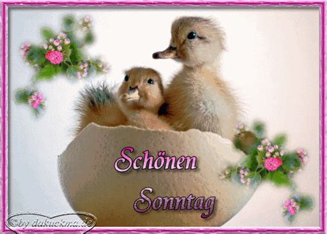 Weitere ideen zu schönen sonntag, sonntagsgrüße, sonntag. RE: RE: - 164