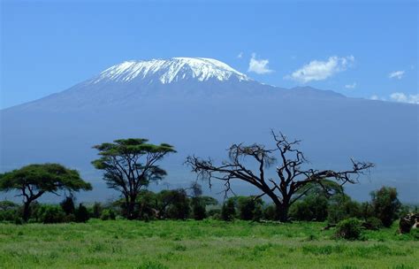Reaching The Roof Of Africa How To Hike Mount Kilimanjaro The Trek