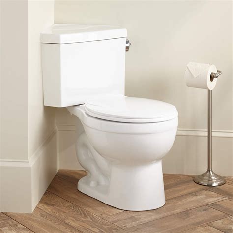 Barnum Dual Flush Corner Toilet With Seat Bathroom