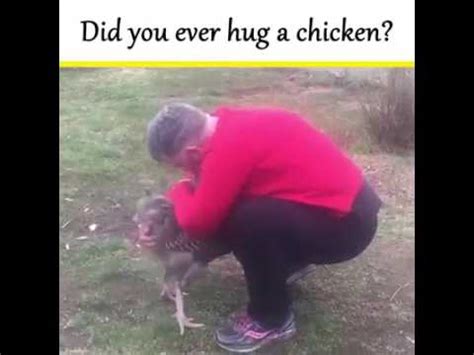Chicken Wants Hug Youtube