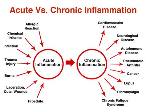 How To Combat Chronic Inflammation Inside Out Health And Wellness