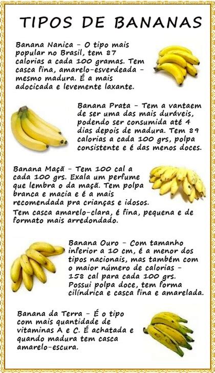 Tipos De Banana Como Identificar E Utilizar Cada Vari