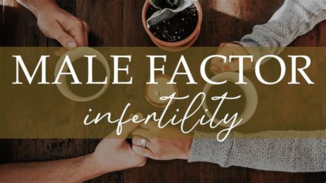 Male Factors In Infertility
