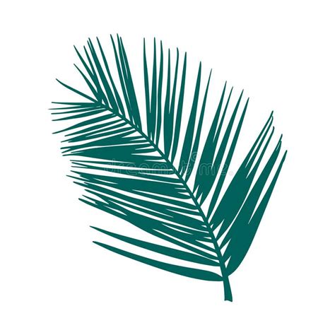 Palm Branch Isolated Hand Drawn Vector Illustration Green Tropical