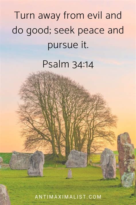 Even if the disturbance occurs once you become peaceful you will find wise solutions to overcome it. 15 Inner Peace Quotes That Will Give You Peace of Mind ...