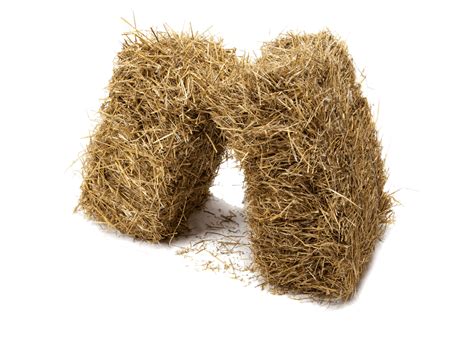 Hay PNG Transparent Images | PNG All Download free ripped paper png images.
