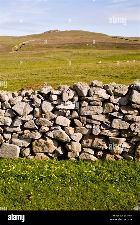 Dry Stone Wall On Fair Isle Shetland Stock Photo Alamy