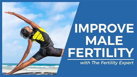 There are a few different male fertility options after an sci that you can use to increase your chances of becoming a father. BEST Male Fertility Supplement |HOW TO BOOST SPERM ...