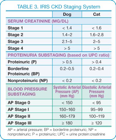 You may not have symptoms, but your creatine levels indicate some damage to your kidneys. Canine Chronic Kidney Disease | Diagnostics & Goals for ...