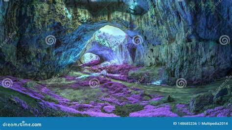 Mystic Cave In An Ancient Forest Royalty Free Stock Photography