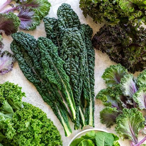 Kale 101 Health Benefits And Types Jessica Gavin